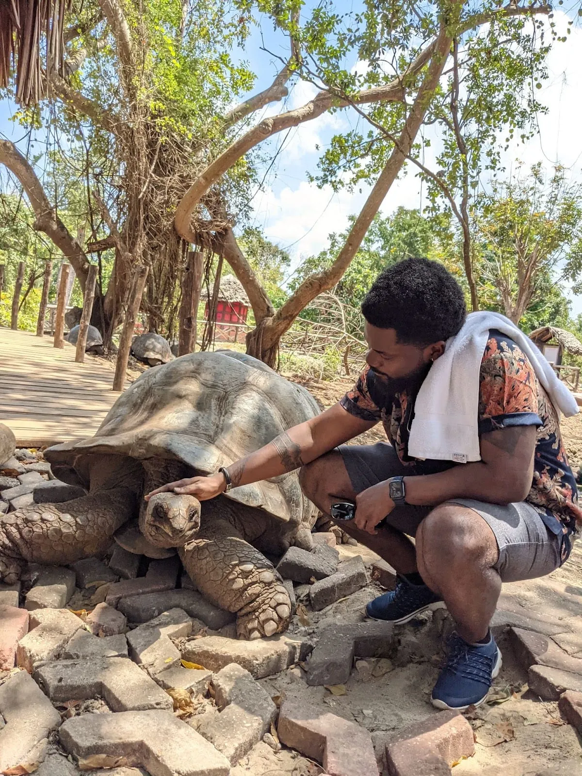 A visitor crouching to touch a giant tortoise on a sunlit path at Tortoise Island, Zanzibar