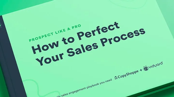 Prospect like a Pro, Vidyard Sales Guide